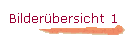 Bilderbersicht 1